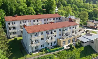 schöne 2-Zimmer-Wohnung für SENIOREN mit großzügigen Balkon in Waldegg - Top 06