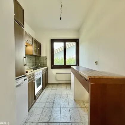 EXKLUSIVES EINFAMILIENHAUS in 1. Reihe am Pöttschinger See! Wohnen, wo andere Urlaub machen! - Bild 3