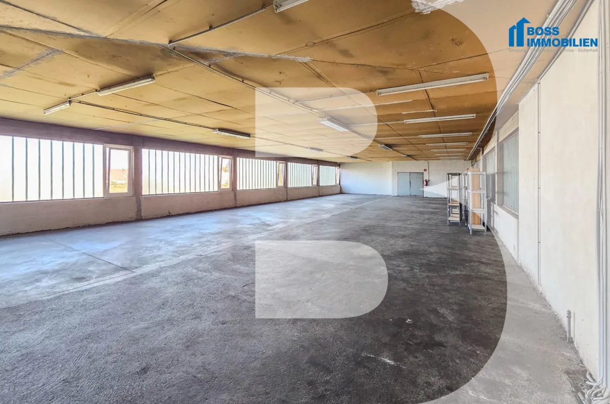 große Lagerfläche - 330 m² Nutzfläche - Bild 1