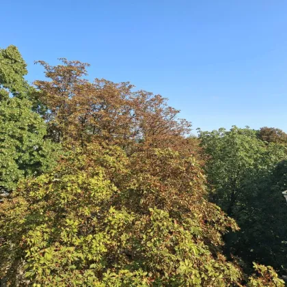 Einzigartige Gelegenheit in Hietzinger Bestlage! - Bild 2