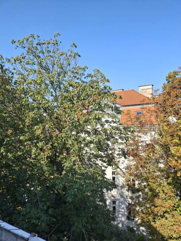 Einzigartige Gelegenheit in Hietzinger Bestlage! - Bild 1