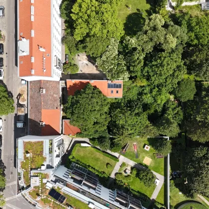 Bauträgerprojekt zu kaufen - Geystraße nahe U3 Zippererstraße - bis zu 29 Wohnungen möglich! - Bild 3
