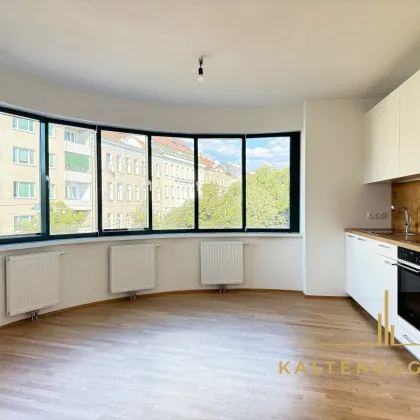Erstbezug nach Sanierung ++ Außergewöhnliche 3-Zimmer Wohnung ++ mit großer Fensterfront und offenem Grundriss - Bild 2