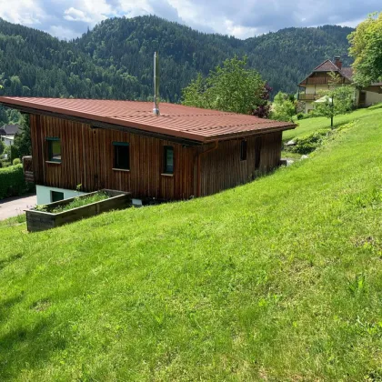 Wohnen - Gesundheit - Arbeiten - Leben im Thoma Holz 100 Haus mit Hanfdämmung und Lehmputz - Bild 2