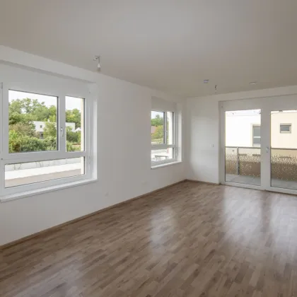 Moderne, südwestseitige Balkonwohnung - Bild 3