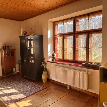 Einzigartiges Einfamilienhaus mit riesigem Garten und dem gewissen Extra - Bild 3