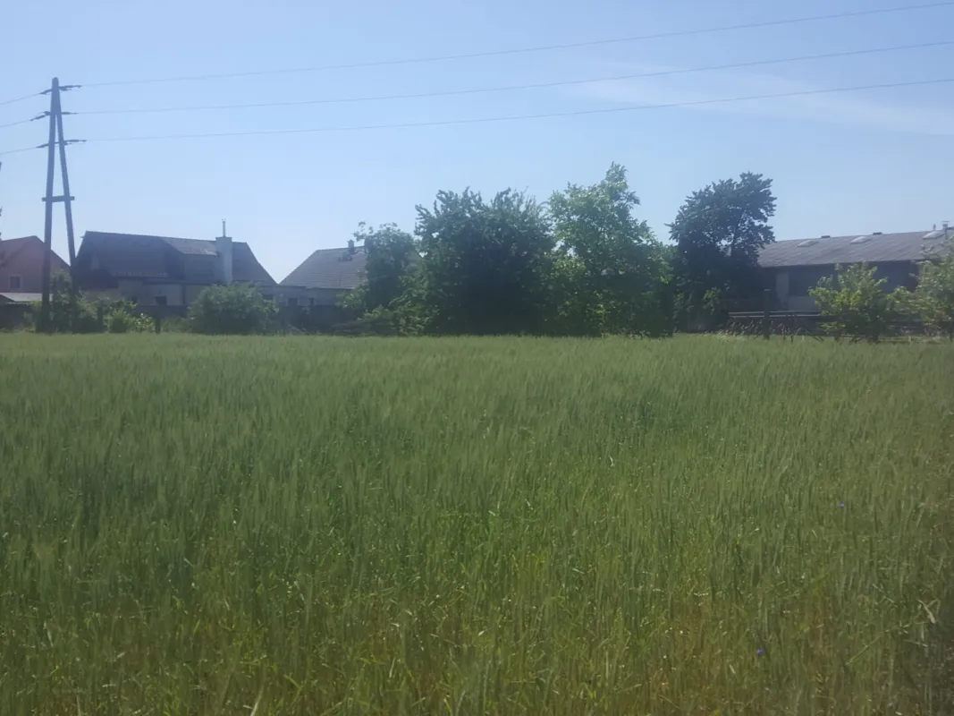 BETRIEBSBAUGRUNDSTÜCKE IM INDUSTRIEGEBIET SEYRING (10.433m²) - Bild 1