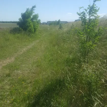 BETRIEBSBAUGRUNDSTÜCKE IM INDUSTRIEGEBIET SEYRING (10.433m²) - Bild 3