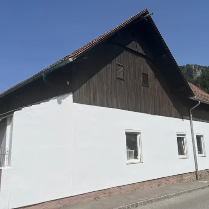 Hit in der Buckligen Welt! Vielseitige, besondere Liegenschaft in der Gemeinde Scheiblingkirchen-Thernberg zu verkaufen - Bild 3