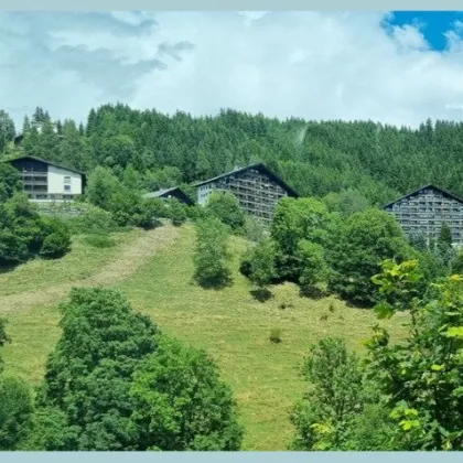 KUSCHELWOHNUNG AM BERG - Bild 2