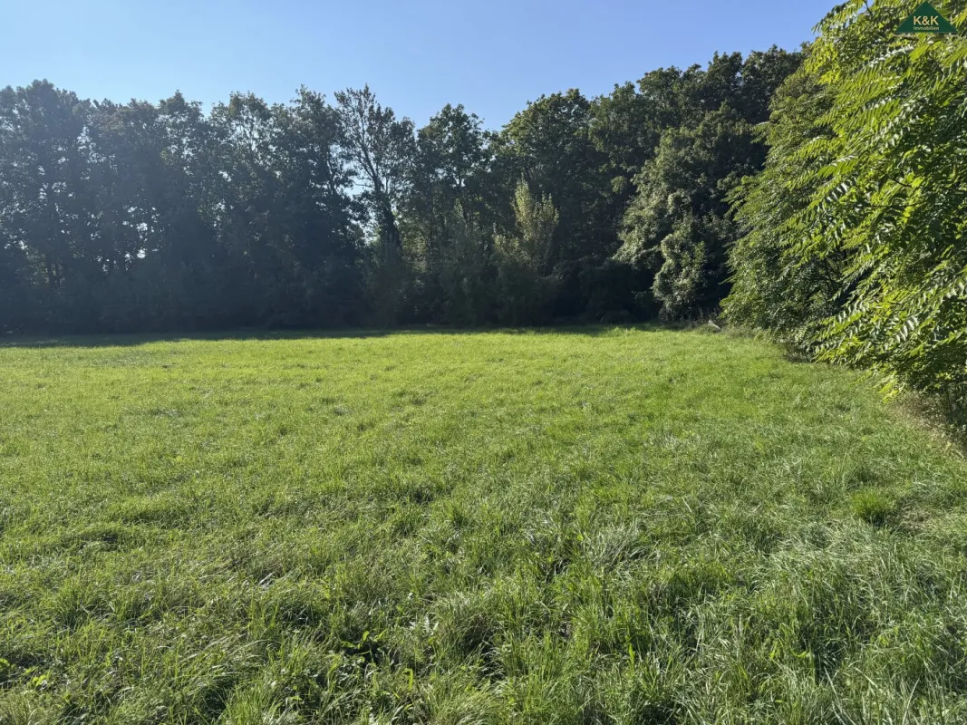 GRÜNLANDGRUNDSTÜCK - ANLAGE - PROVISIONSFREI - Bild 1