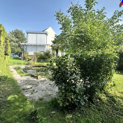 Trausdorf - modernes Einfamilienhaus in herrlicher Grünuhelage! - Bild 3