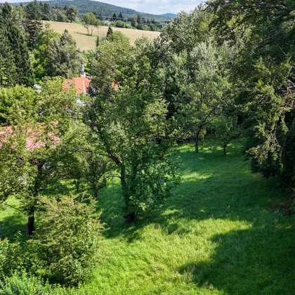 Naturparadies: romantisches Landhaus auf 5.162 m² Traumgrundstück - Bild 3