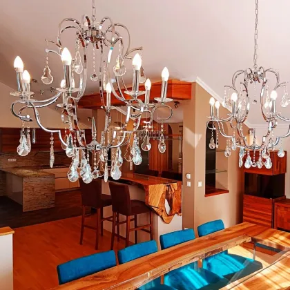 ***Komplett möbliertes Haus in Weidling mit eigenem Aufzug, 3 Terrassen und riesigem Garten purer Luxus für 5.500 im Monat!*** - Bild 3