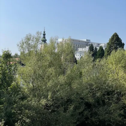 Nähe LKH - Perfekte Lage Charmante,  gemütliche und sonnige 3-Zimmer-Wohnung mit Balkon mit Blick ins Grüne und auf den Leonhardbach! - Bild 3