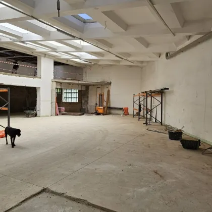 760m2 Betriebshalle samt Büro - Bild 2