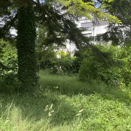 Baugrund für bis zu 3 Reihenhäuser - Bild 3