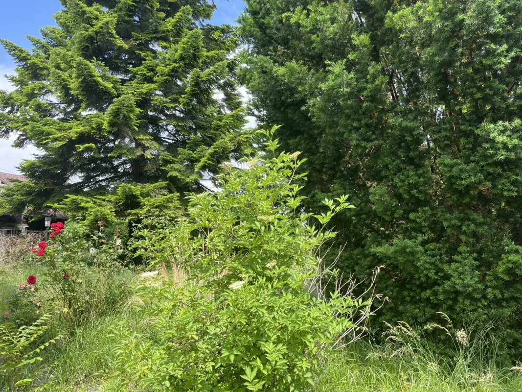 Baugrund für bis zu 3 Reihenhäuser - Bild 1