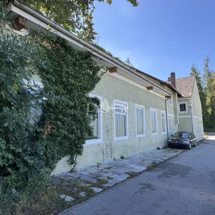 Optimale Gewerbeimmobilie im Kerngebiet von 4063 Neubau – Vielseitige Nutzungsmöglichkeiten! - Bild 2