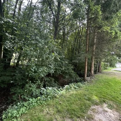 Erstbezug in Mauerbach - Bild 3