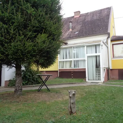 Zistersdorf/ A5 -Nähe: Wohnhaus mit Garten und Garage in absoluter Ruhelage - Bild 3