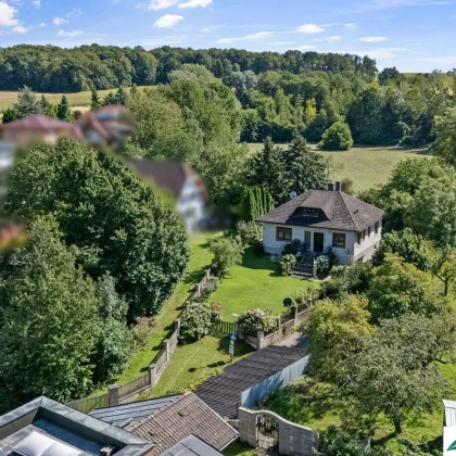 Charmantes Einfamilienhaus in herrlicher Grünruhelage, Fernblick ins Tullnerfeld inklusive - Bild 3