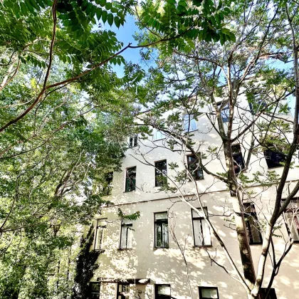 Möglichkeit zur Zusammenlegung im Altbau mit Eigengarten! Zwischen Rochusmarkt und Kardinal Nagl- Platz! - Bild 2