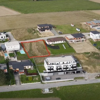 Schönes großes Baugrundstück in Pollham - Bild 3