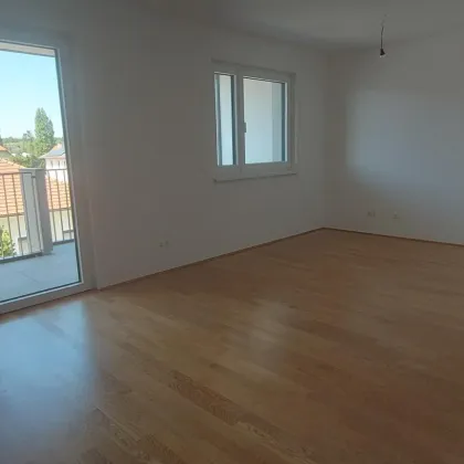 3-Zimmer-Wohnung mit Loggia und Tiefgaragenstellplatz (Top 14) - Bild 3