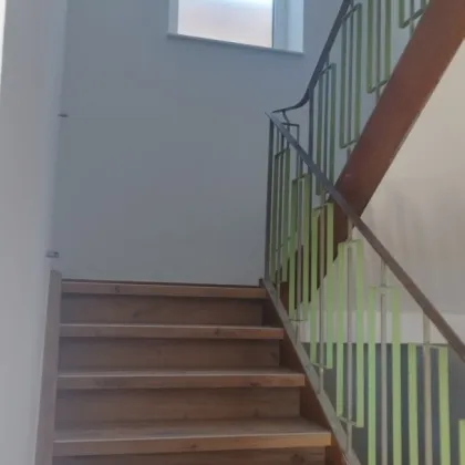 Erstbezug nach Renovierung: 2-Zimmer Wohnung in Ennsdorf mit neuer Küche & Gartenmitbenützung - Bild 2