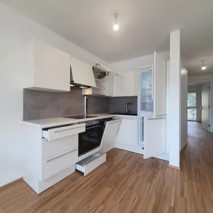 Helle moderne Wohnung bei U2-Stadlau/Bahnhof - Bild 3