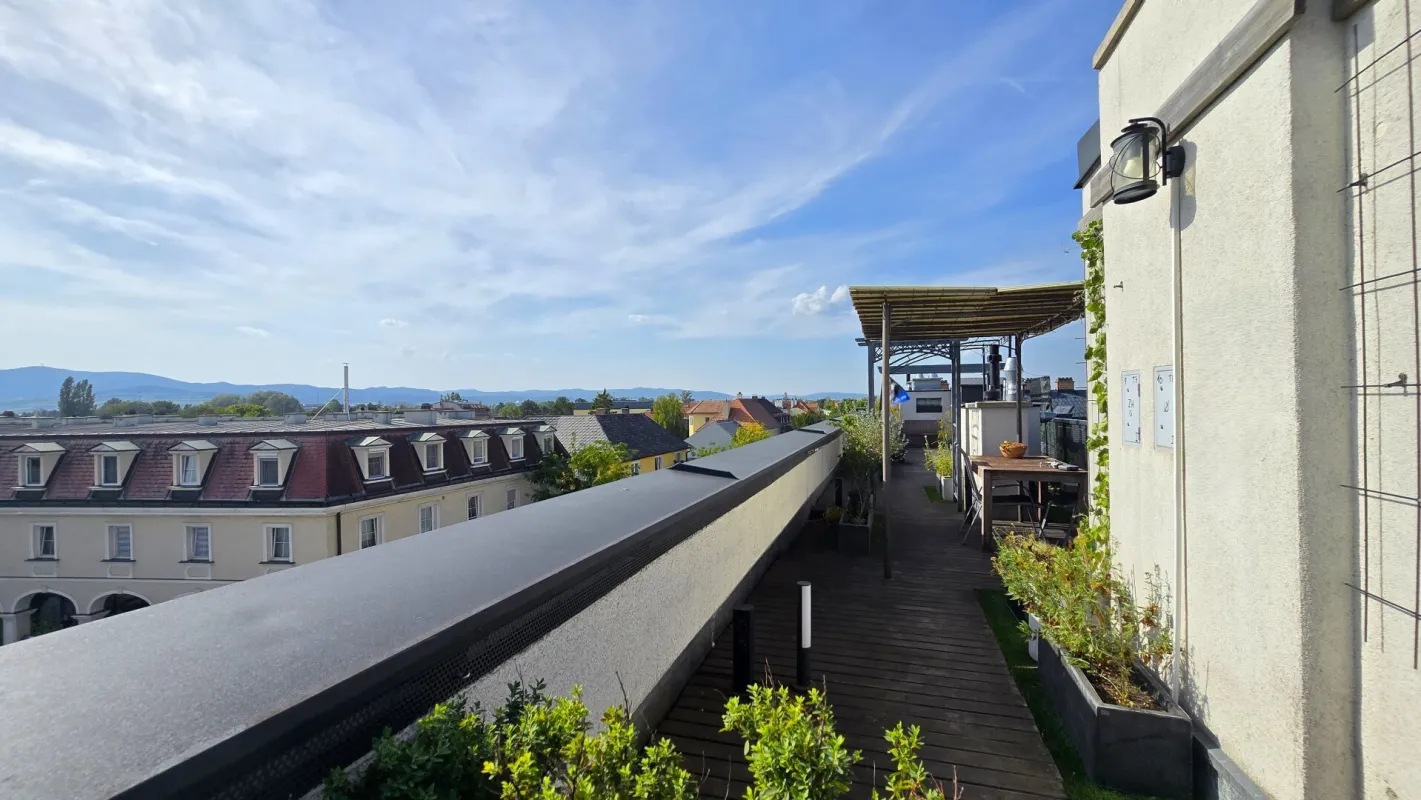 Exklusive Dachgeschosswohnung mit 80m² Panorama-Terrasse nähe Schlosspark Laxenburg - Bild 1