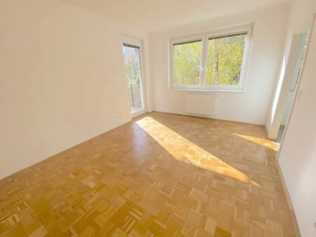 PROVISIONSFREI VOM EIGENTÜMER! GEPFLEGTE 2-ZIMMER WOHNUNG MIT LOGGIA NAHE MILLENIUM CITY! - Bild 1