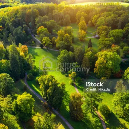 Baugrundstück mit bestehendem Keller in idyllischer Lage in Pinggau - Bild 3