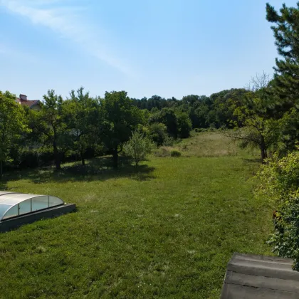 Investitionschance: Großflächiges Grundstück mit ca. 2400 m² Baufläche und Grünland in Hagenbrunn! - Bild 2
