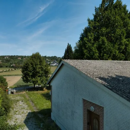 Investitionschance: Großflächiges Grundstück mit ca. 2400 m² Baufläche und Grünland in Hagenbrunn! - Bild 3