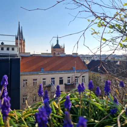 Willkommen auf der Sonnenseite! Ihre neue Wohlfühloase mit sonniger Dachterrasse und wunderbarer Aussicht im Herzen der Josefstadt - Bild 3