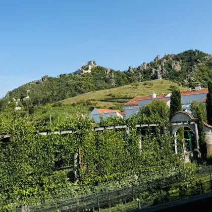 Exklusives Boutique Weingut im Herzen der Wachau: STOCKINGERHOF in Dürnstein – ein Ort mit Geschichte, Charme & unzähligen Möglichkeiten - Bild 2