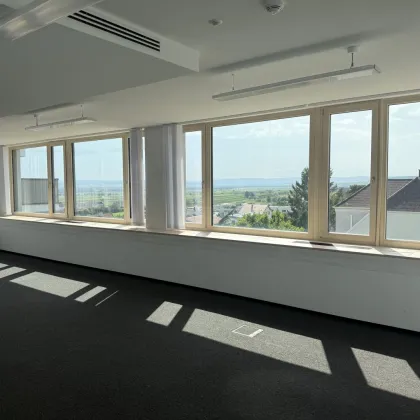 modernes Büro mit über 200 m² in zentrumsnaher Lage zu vermieten - Bild 2