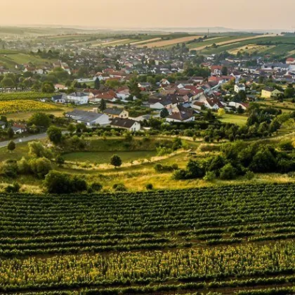 Vielseitige Gewerbefläche im Erdgeschoss (Erstbezug) – flexibel nutzbar und modern ausgestattet - Bild 3