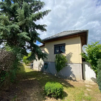 ***!!!PREISSENKUNG!!!***NUR 169.000,-EURO!!!*** - Bild 2