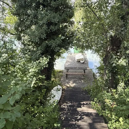 große UFERPAZRELLE mit privatem Badesteg am Neufelder See – Holzhaus mit Renovierungsbedarf beim Yachtclub auf Pachtgrund zu verkaufen - Bild 3