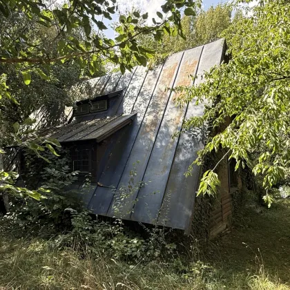 große UFERPAZRELLE mit privatem Badesteg am Neufelder See – Holzhaus mit Renovierungsbedarf beim Yachtclub auf Pachtgrund zu verkaufen - Bild 2