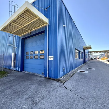 891 m² Lagerhalle in 1230 Wien (Talpagasse) zu mieten! – 2 Sektionaltore, U6 & Autobahn-Nähe, videoüberwacht - Bild 2