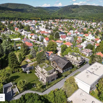 WILLA. - Wohnen wo der Wienerwald Wurzeln schlägt. - Bild 2