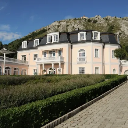 Herrenhaus Villa - in Hainburg an der Donau - Luxus, Komfort und Raum auf 1.339m² - Bild 2