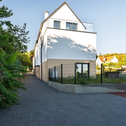 Nur noch 3 Häuser verfügbar - Exklusive Doppelhaushälfte in Hagenbrunn – Wohnen auf 3 Ebenen mit Keller & Garten - Bild 3
