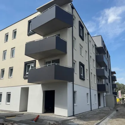 ERSTBEZUG „ein viertel grün“ in Wiener Neustadt - schöne 3 Zimmer Gartenwohnung mit Terrasse - Bild 2