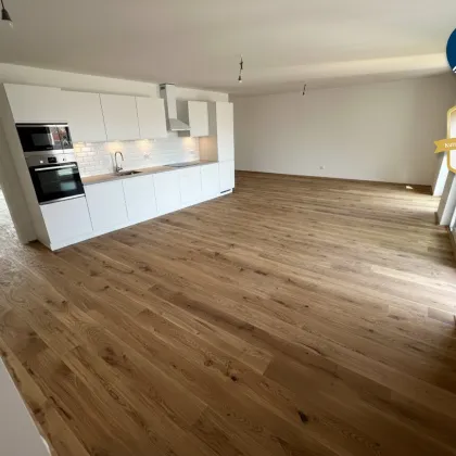 *Superprojekt: ''Über den Baumwipfeln" TOP 50 MIT ÜBERDACHTEM INNENHOF-BALKON (17,5 m²) - Bild 2