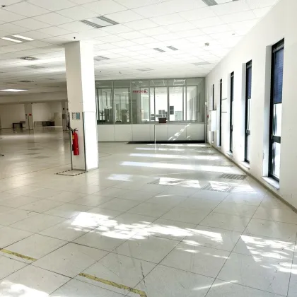 Große Lager/Produktionsfläche mit ca. 1.500m2 plus Büros zu vermieten - Bild 3